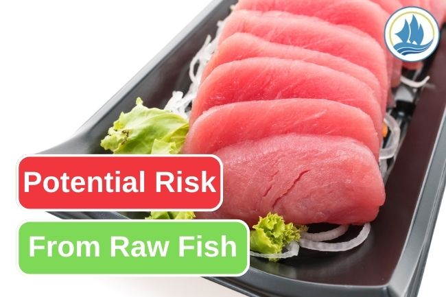 3 Potential Risks From Eating Raw Fish